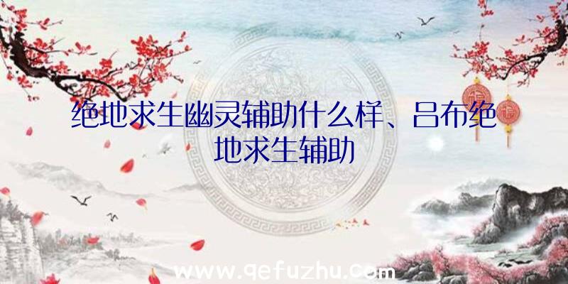 绝地求生幽灵辅助什么样、吕布绝地求生辅助