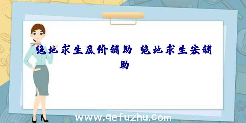 绝地求生底价辅助、绝地求生宏辅助