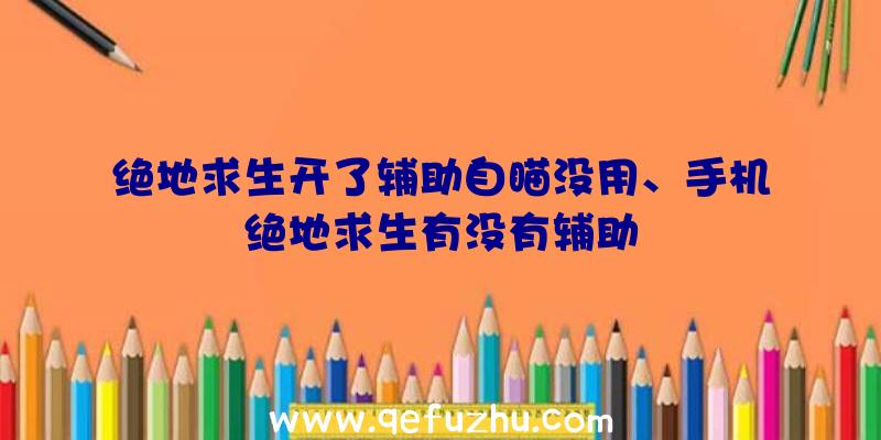 绝地求生开了辅助自瞄没用、手机绝地求生有没有辅助