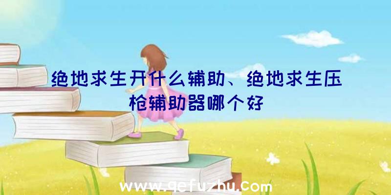 绝地求生开什么辅助、绝地求生压枪辅助器哪个好