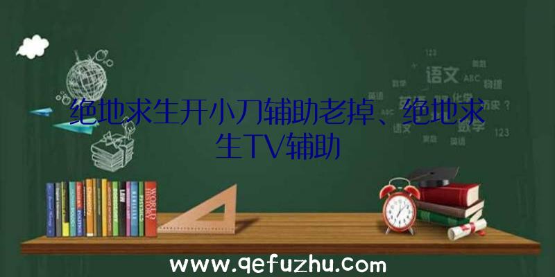 绝地求生开小刀辅助老掉、绝地求生TV辅助