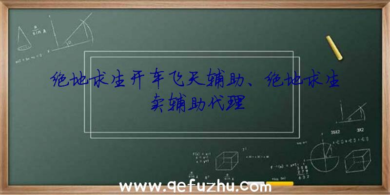 绝地求生开车飞天辅助、绝地求生卖辅助代理