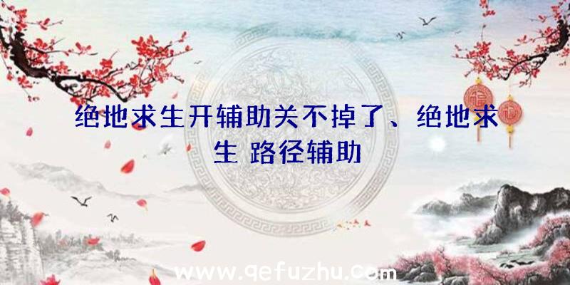 绝地求生开辅助关不掉了、绝地求生