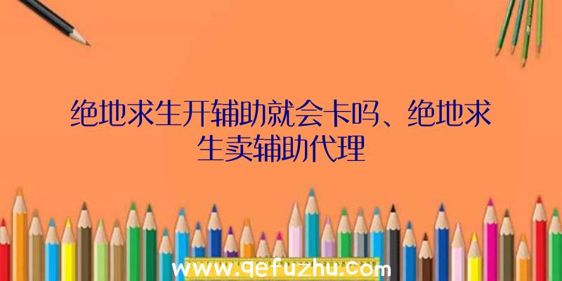 绝地求生开辅助就会卡吗、绝地求生卖辅助代理