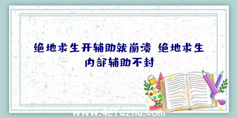 绝地求生开辅助就崩溃、绝地求生内部辅助不封