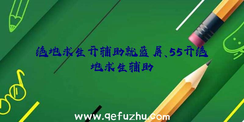 绝地求生开辅助就蓝屏、55开绝地求生辅助