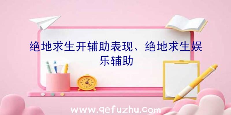 绝地求生开辅助表现、绝地求生娱乐辅助