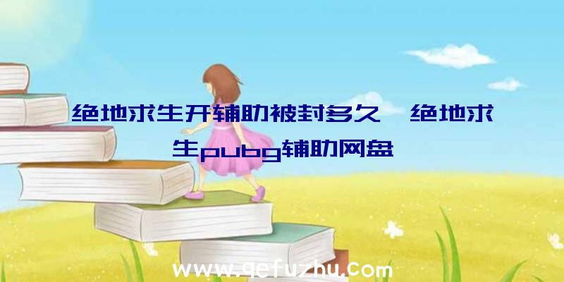 绝地求生开辅助被封多久、绝地求生pubg辅助网盘