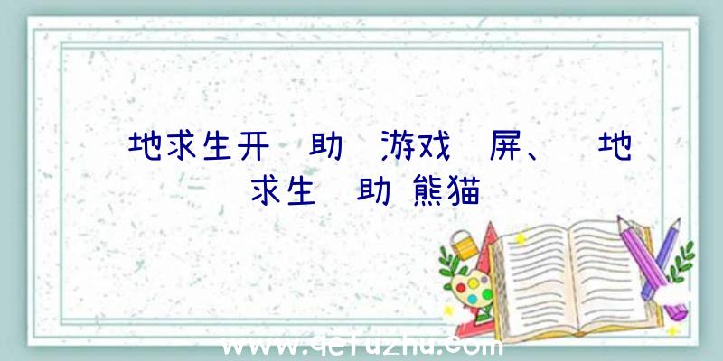 绝地求生开辅助进游戏蓝屏、绝地求生辅助