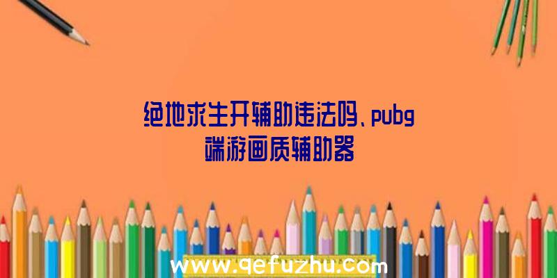 绝地求生开辅助违法吗、pubg端游画质辅助器