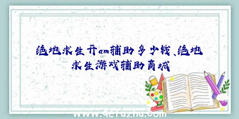 绝地求生开am辅助多少钱、绝地求生游戏辅助商城