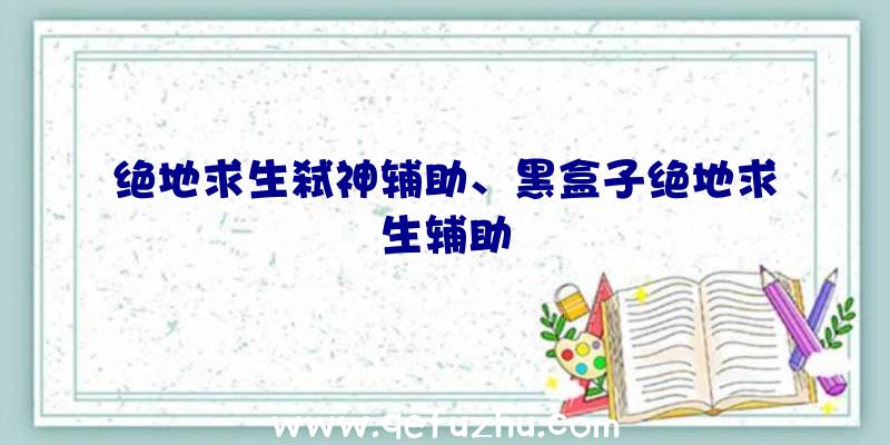 绝地求生弑神辅助、黑盒子绝地求生辅助