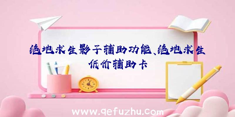 绝地求生影子辅助功能、绝地求生低价辅助卡