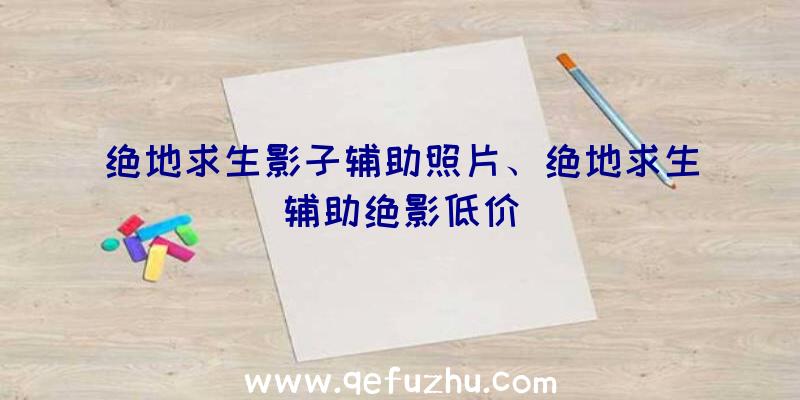 绝地求生影子辅助照片、绝地求生辅助绝影低价