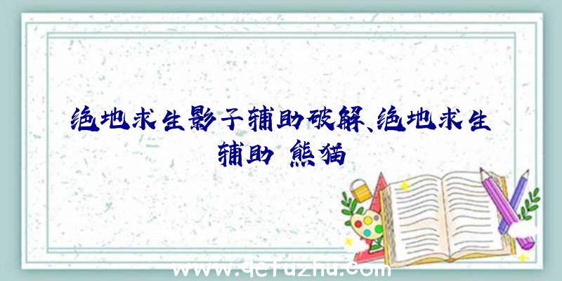 绝地求生影子辅助破解、绝地求生辅助