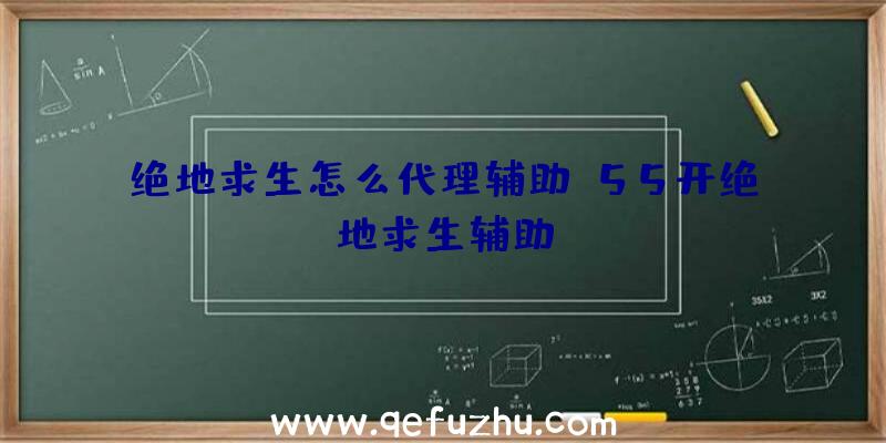 绝地求生怎么代理辅助、55开绝地求生辅助