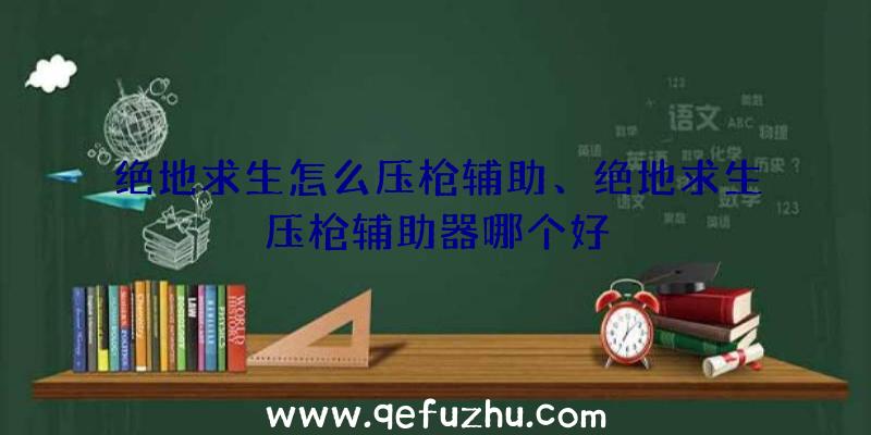 绝地求生怎么压枪辅助、绝地求生压枪辅助器哪个好