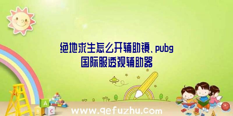 绝地求生怎么开辅助镜、pubg国际服透视辅助器