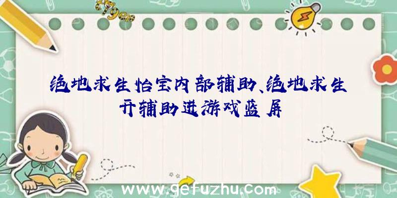 绝地求生怡宝内部辅助、绝地求生开辅助进游戏蓝屏