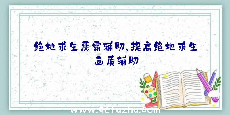 绝地求生恶霸辅助、提高绝地求生画质辅助