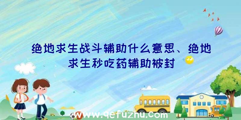 绝地求生战斗辅助什么意思、绝地求生秒吃药辅助被封