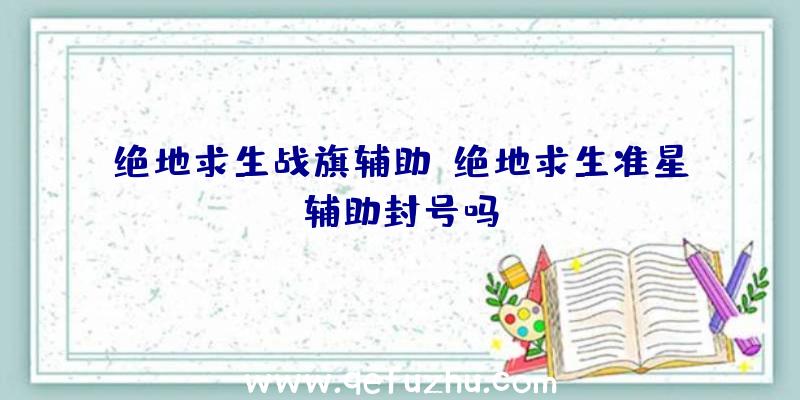 绝地求生战旗辅助、绝地求生准星辅助封号吗