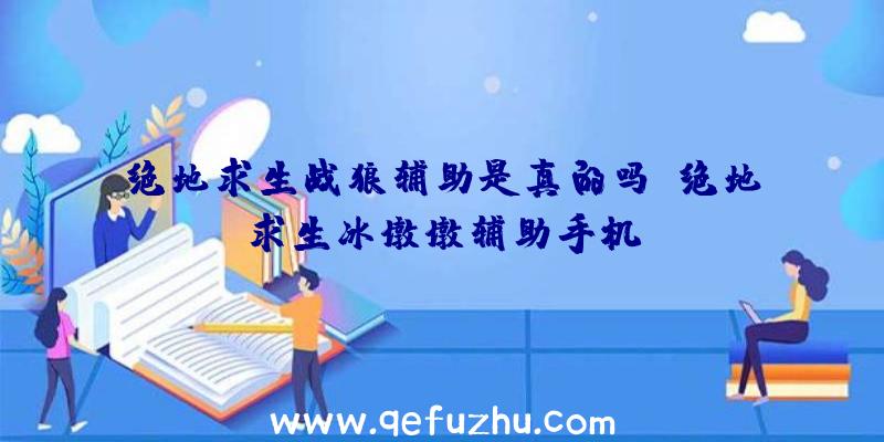 绝地求生战狼辅助是真的吗、绝地求生冰墩墩辅助手机