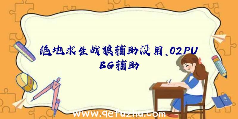 绝地求生战狼辅助没用、02PUBG辅助