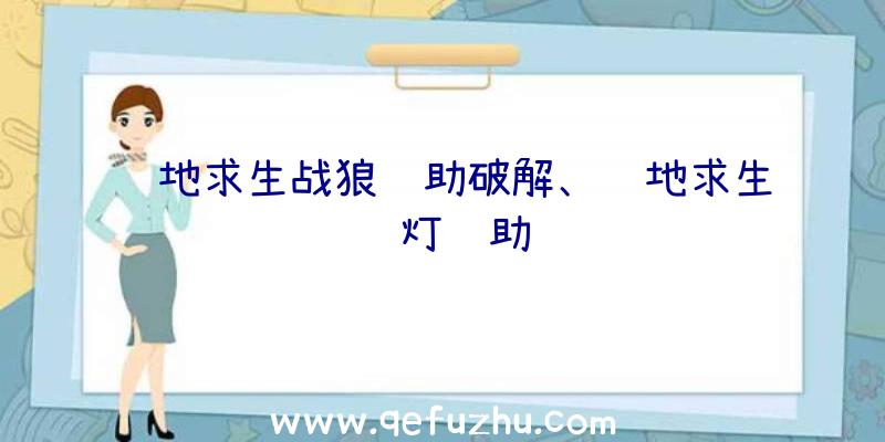 绝地求生战狼辅助破解、绝地求生蓝灯辅助