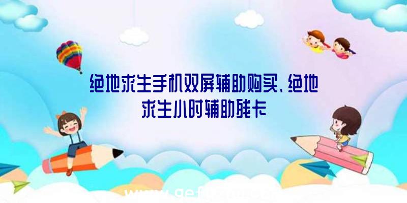 绝地求生手机双屏辅助购买、绝地求生小时辅助残卡