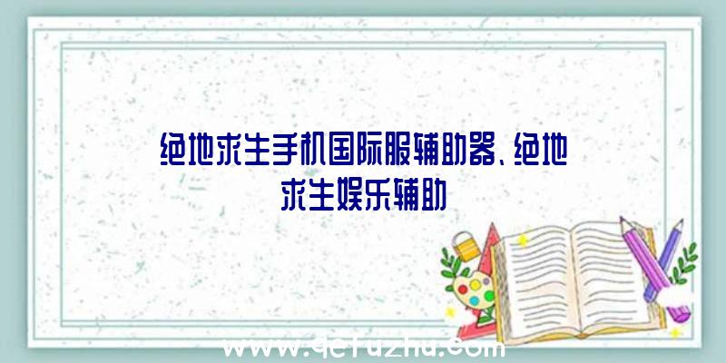 绝地求生手机国际服辅助器、绝地求生娱乐辅助