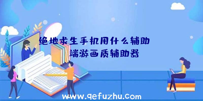 绝地求生手机用什么辅助、pubg端游画质辅助器