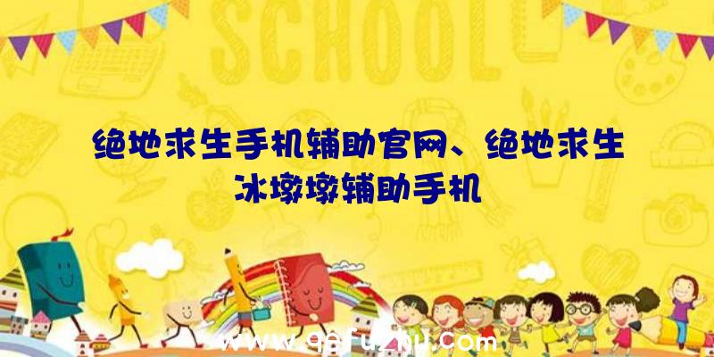 绝地求生手机辅助官网、绝地求生冰墩墩辅助手机