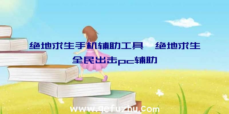 绝地求生手机辅助工具、绝地求生全民出击pc辅助