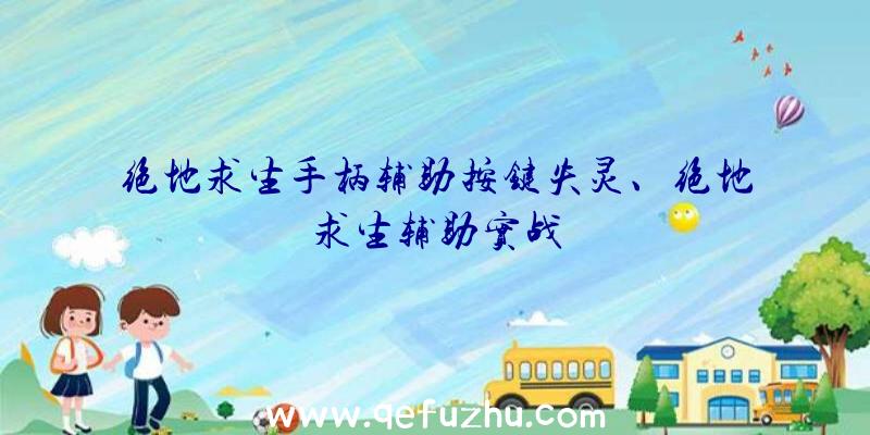 绝地求生手柄辅助按键失灵、绝地求生辅助实战