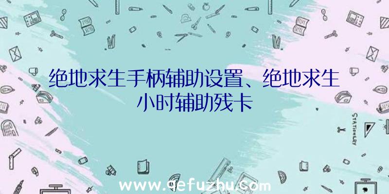 绝地求生手柄辅助设置、绝地求生小时辅助残卡