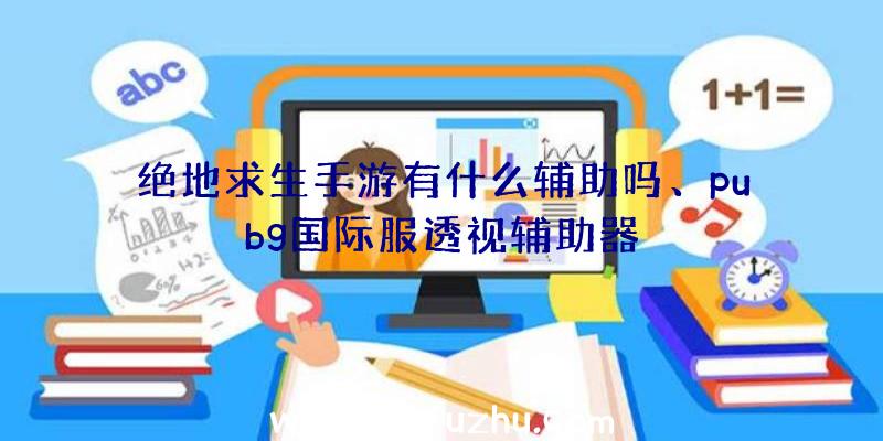 绝地求生手游有什么辅助吗、pubg国际服透视辅助器