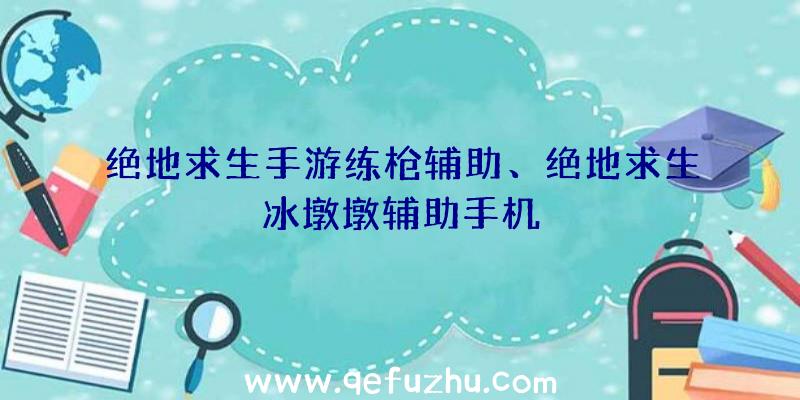 绝地求生手游练枪辅助、绝地求生冰墩墩辅助手机