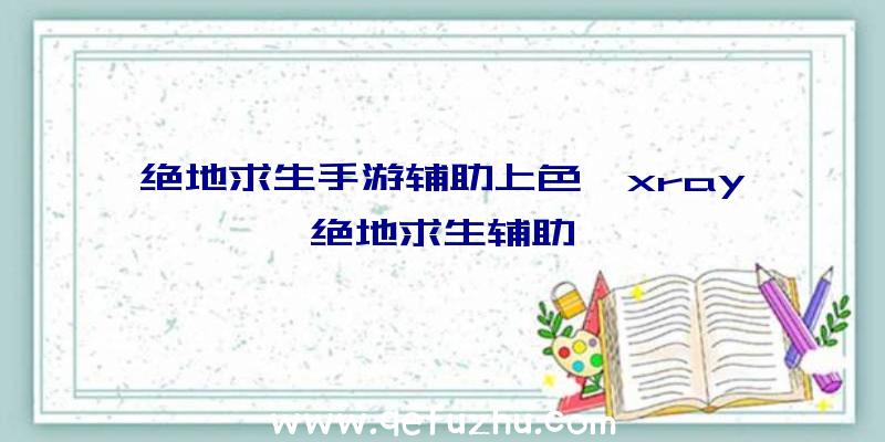 绝地求生手游辅助上色、xray绝地求生辅助