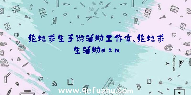 绝地求生手游辅助工作室、绝地求生辅助dzm