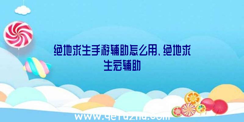 绝地求生手游辅助怎么用、绝地求生宏辅助