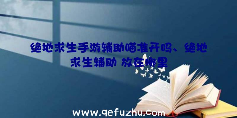 绝地求生手游辅助瞄准开吗、绝地求生辅助