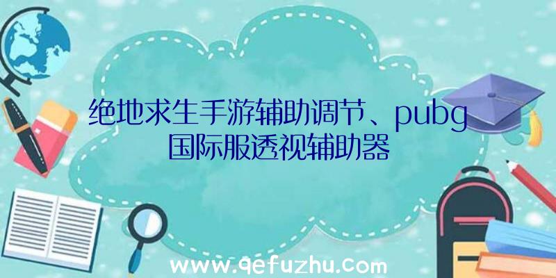 绝地求生手游辅助调节、pubg国际服透视辅助器