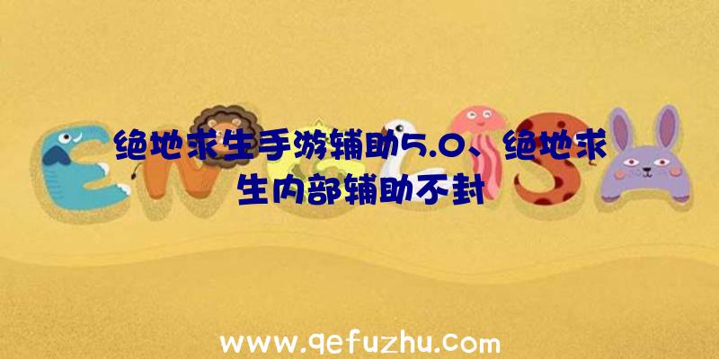 绝地求生手游辅助5.0、绝地求生内部辅助不封