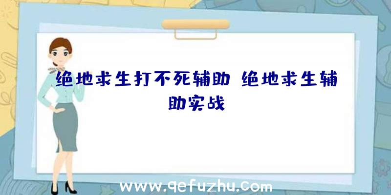 绝地求生打不死辅助、绝地求生辅助实战