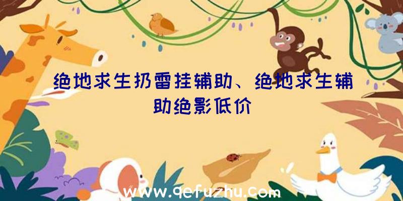 绝地求生扔雷挂辅助、绝地求生辅助绝影低价