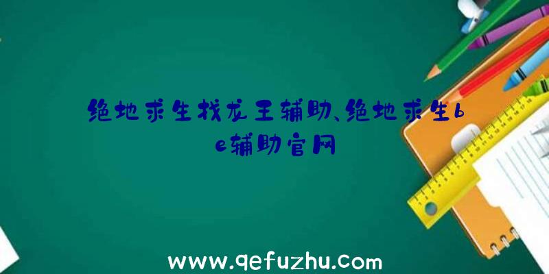 绝地求生找龙王辅助、绝地求生be辅助官网