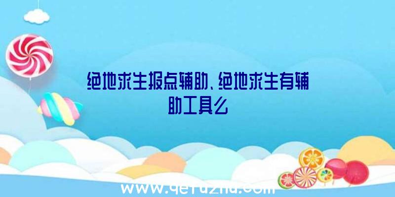 绝地求生报点辅助、绝地求生有辅助工具么