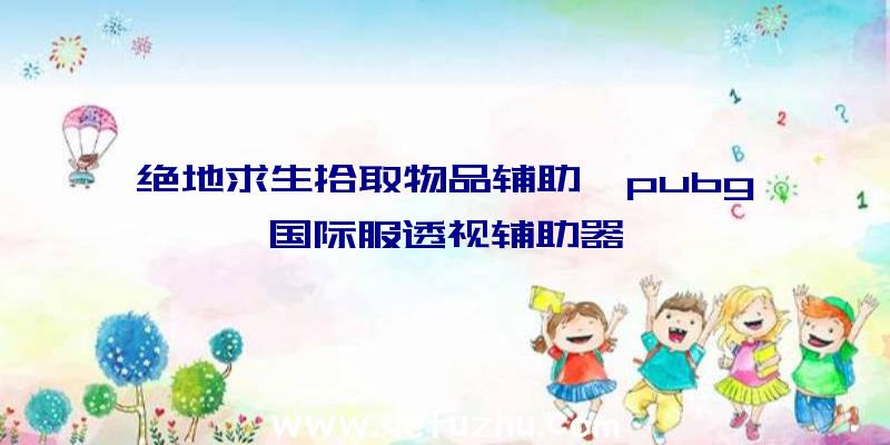 绝地求生拾取物品辅助、pubg国际服透视辅助器