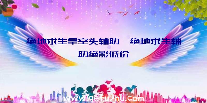 绝地求生拿空头辅助、绝地求生辅助绝影低价